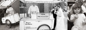 sydney gelato cart banner