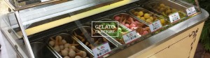 gelato cart banner